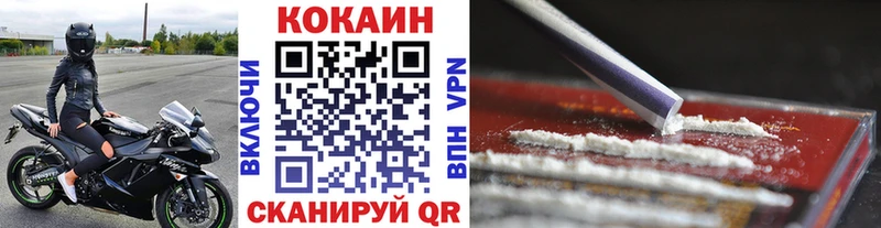 Кокаин FishScale  omg сайт  Сорск 