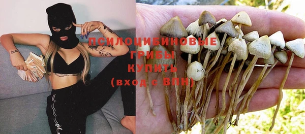 таблы Арсеньев
